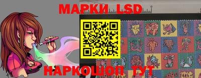 стафф Кимры