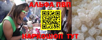 бошки Кингисепп