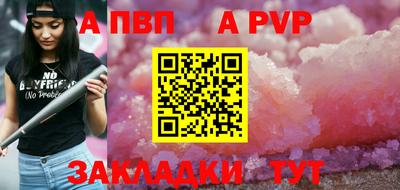 бошки Кингисепп
