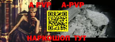 бошки Кингисепп